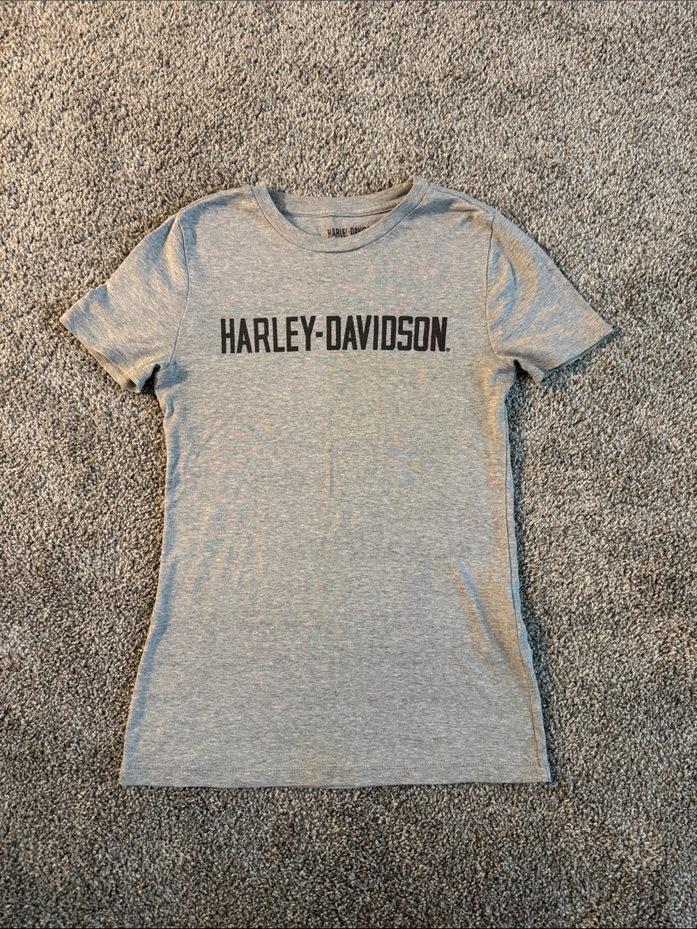 Harley-Davidson Light Gray Short Sleeve Logo Tee Small